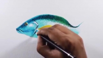 کشیدن نقاشی حرفه ای ماهی