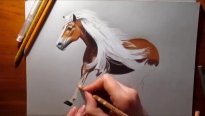 کشیدن نقاشی از چهره اسب